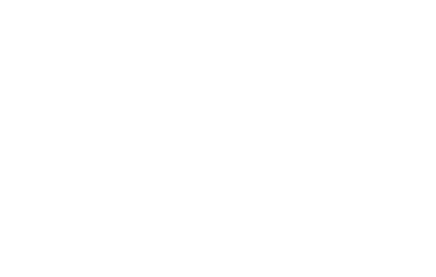 The Nutcracker Winter Miracle